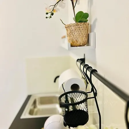 Pop Luxury 贝尔格莱德